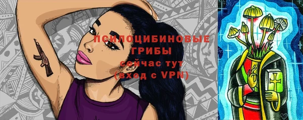 PSILOCYBIN Белоозёрский