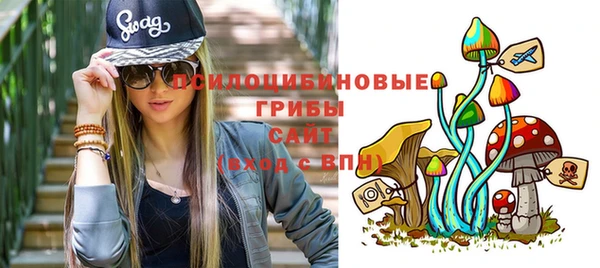 PSILOCYBIN Белоозёрский