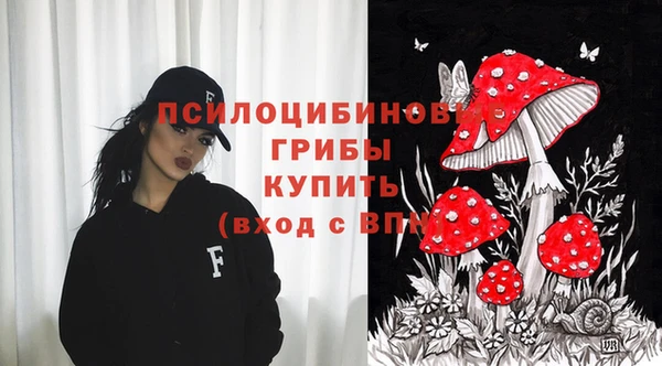 a pvp Беломорск